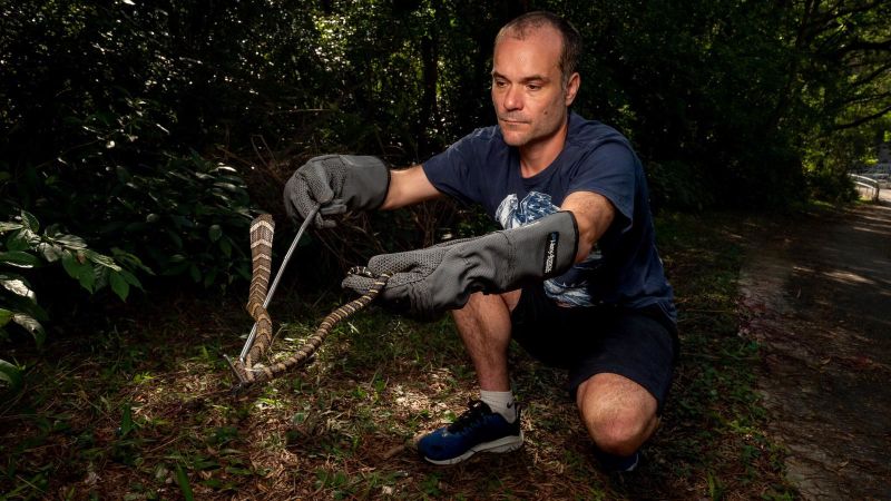 Experiencing Hong Kong's snake safari