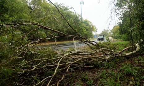Fallen trees in the suburb of Holloways Beach in Cairns