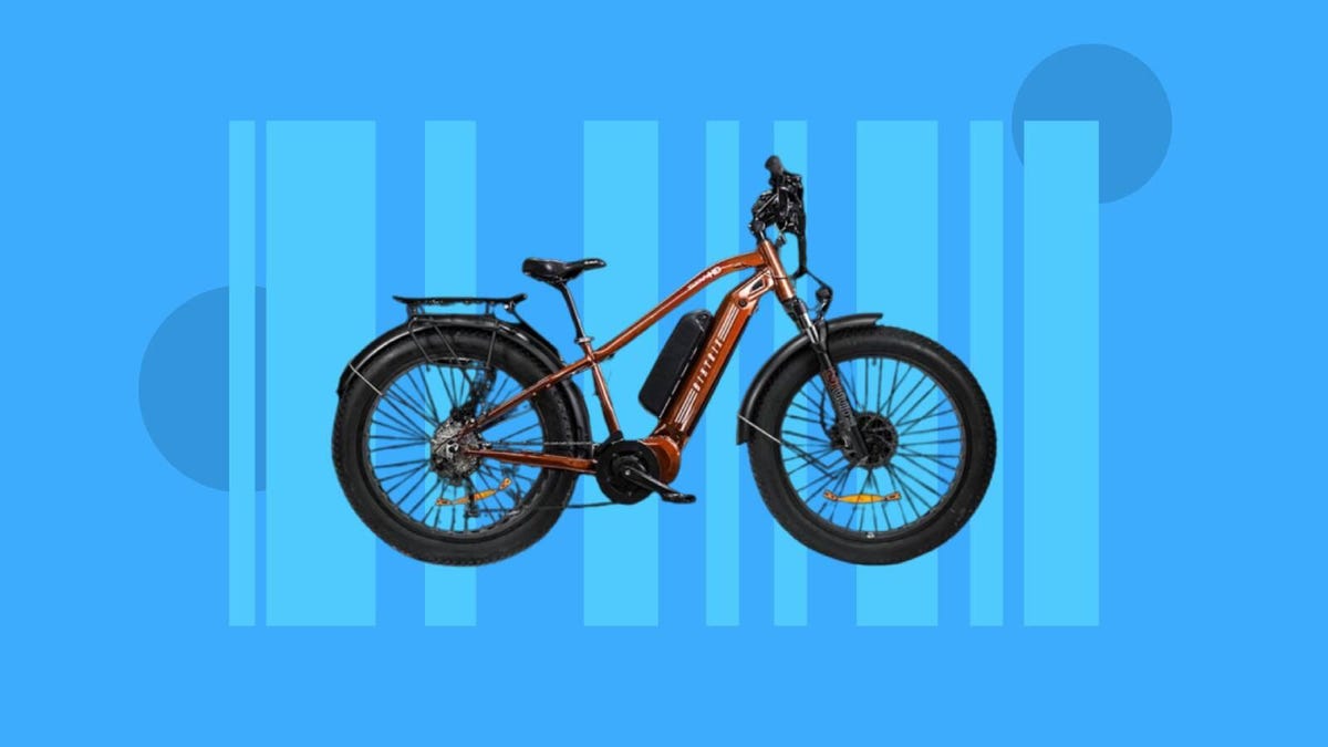 Finest Vacation Offers on E-Bikes: Save A whole lot on High Manufacturers Like BirdBike, Velowave and Extra