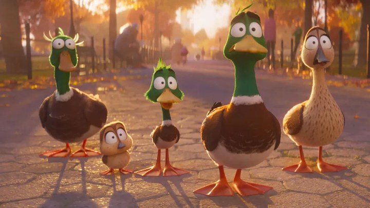The family of ducks who star in Illumination's Migration.
