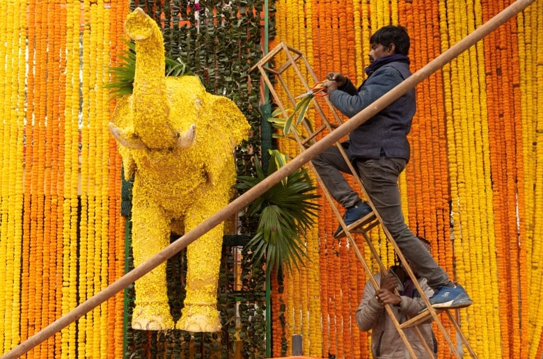 A man stands on a ladder next to a floral elephant, in front of a wall of orange and yellow marigold strands.