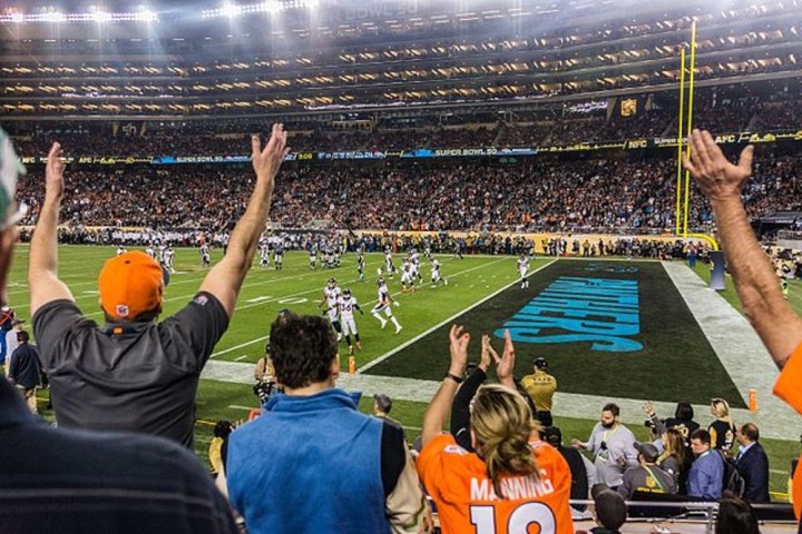 Fans cheer at the Super Bowl 50.