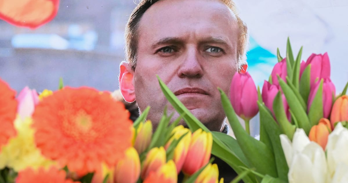 Navalny’s mom calls for Putin launch her son’s physique – POLITICO